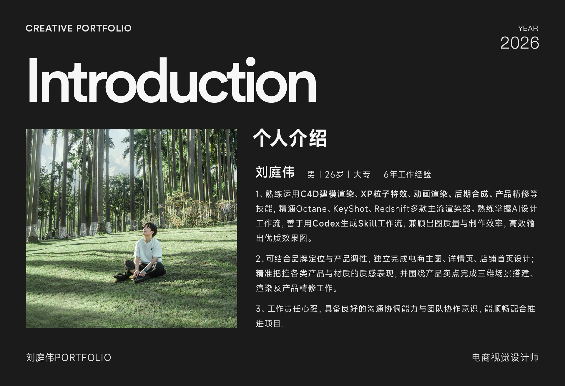 Portfolio home slice 2